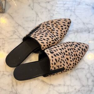 Jenni Kayne Leopard Print Women's Mules